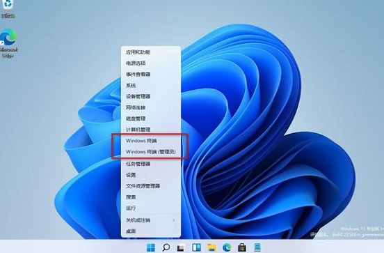 windows11专业优化版