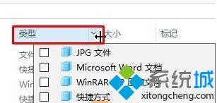 Windows10怎样设置文件夹只显示指定类型文件?